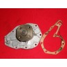 POMPA ACQUA  DAF 66