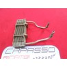 RADIATORE OLIO CITROEN 2 CAVALLI 