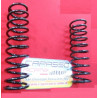 MOLLE SOSPENSIONE POSTERORE ALFAROMEO DUETTO
