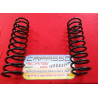 MOLLE SOSPENSIONE POSTERORE ALFAROMEO DUETTO