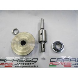 REVISIONE POMPA ACQUA ALFAROMEO 2600
