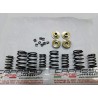 SERIE MOLLE VALVOLE COMPETIZIONI CON PIATTELLI IN ERGAL PER VALVOLE STELO 7 FIAT 126