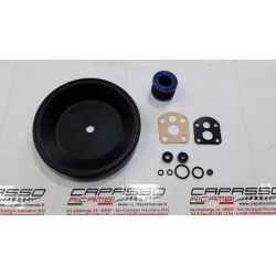 GOMMINI REVISIONE SERVOFRENO FULVIA COUPE 1 SERIE COMPLETO