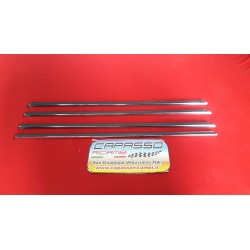 RASCHIAVETRI PORTE COMPLETI 1100 R ANTERIORI E POSTERIORI