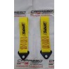 CINTURE TRAINO A112