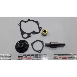 REVISIONE POMPA ACQUA LANCIA GAMMA
