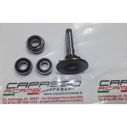 KIT REVISIONE POMPA ACQUA GIULIETTA