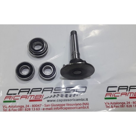 KIT REVISIONE POMPA ACQUA GIULIETTA