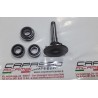 KIT REVISIONE POMPA ACQUA GIULIETTA