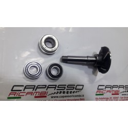 KIT REVISIONE POMPA ACQUA GIULIETTA