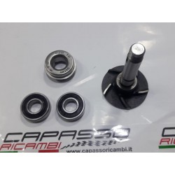 KIT REVISIONE POMPA ACQUA GIULIETTA