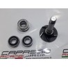 KIT REVISIONE POMPA ACQUA GIULIETTA