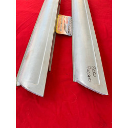 SOTTOPORTA FIAT PULMINO CON RIGO