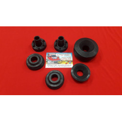 GOMMINI SUPPORTO MOTORE COMPLETI FIAT 850 SPIDER