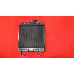RADIATORE FIAT 1100 (REVISIONE PROFESSIONALE)