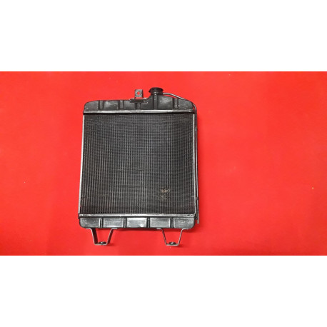 RADIATORE FIAT 1100 (REVISIONE PROFESSIONALE)