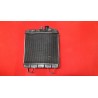 RADIATORE FIAT 1100 (REVISIONE PROFESSIONALE)