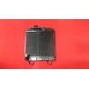 RADIATORE FIAT 1100 (REVISIONE PROFESSIONALE)