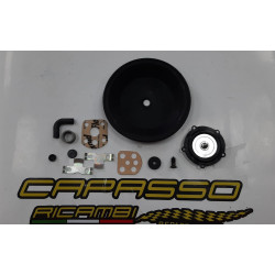 REVISIONE SERVOFRENO COMPLETO MINI MINOR