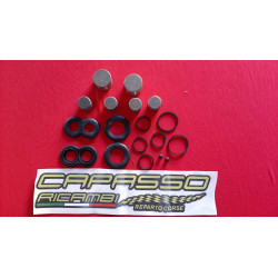 PISTONCINI COMPLETI PINZE FRENO ANTERIORI FIAT 1300