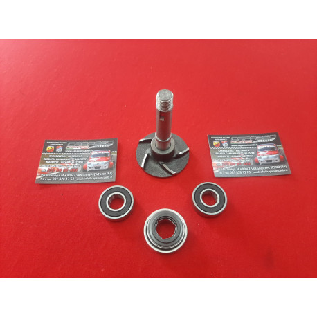 REVISIONE COMPLETA POMPA ACQUA GIULIETTA SPIDER