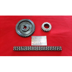 DISTRIBUZIONE COMPLETA FIAT 2300