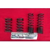 MOLLE ASSETTO RIBBASSATO ALFAROMEO DUETTO SPIDER