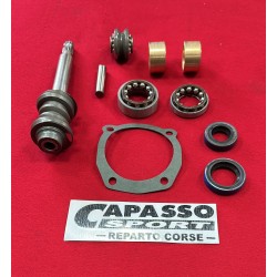REVISIONE SCATOLA GUIDA COMPLETA FIAT 1100)