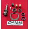 REVISIONE SCATOLA GUIDA COMPLETA FIAT 1100)