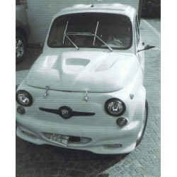 Cofano anteriore in resina Fiat 500