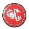 ABARTH TYPE HUB COVER LARGE DIAMETER INTERNAL MM. 55