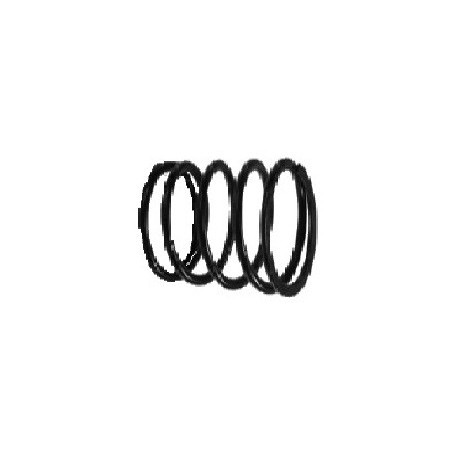 MOLLA SUPPORTO MOTORE FIAT 500 R/126