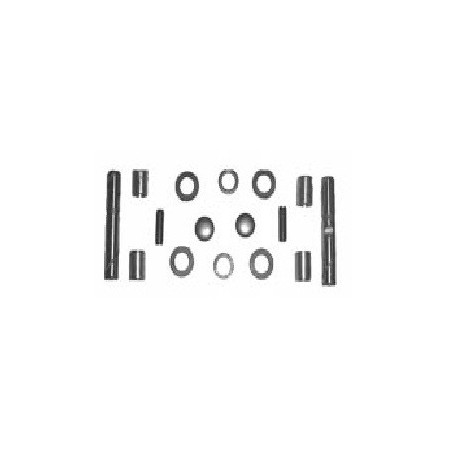 SERIE PERNI FUSI A SNODO (FUSELLI) FIAT 600