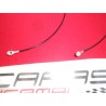 CORDA LACCIO COFABO BAULE MINI MINOR